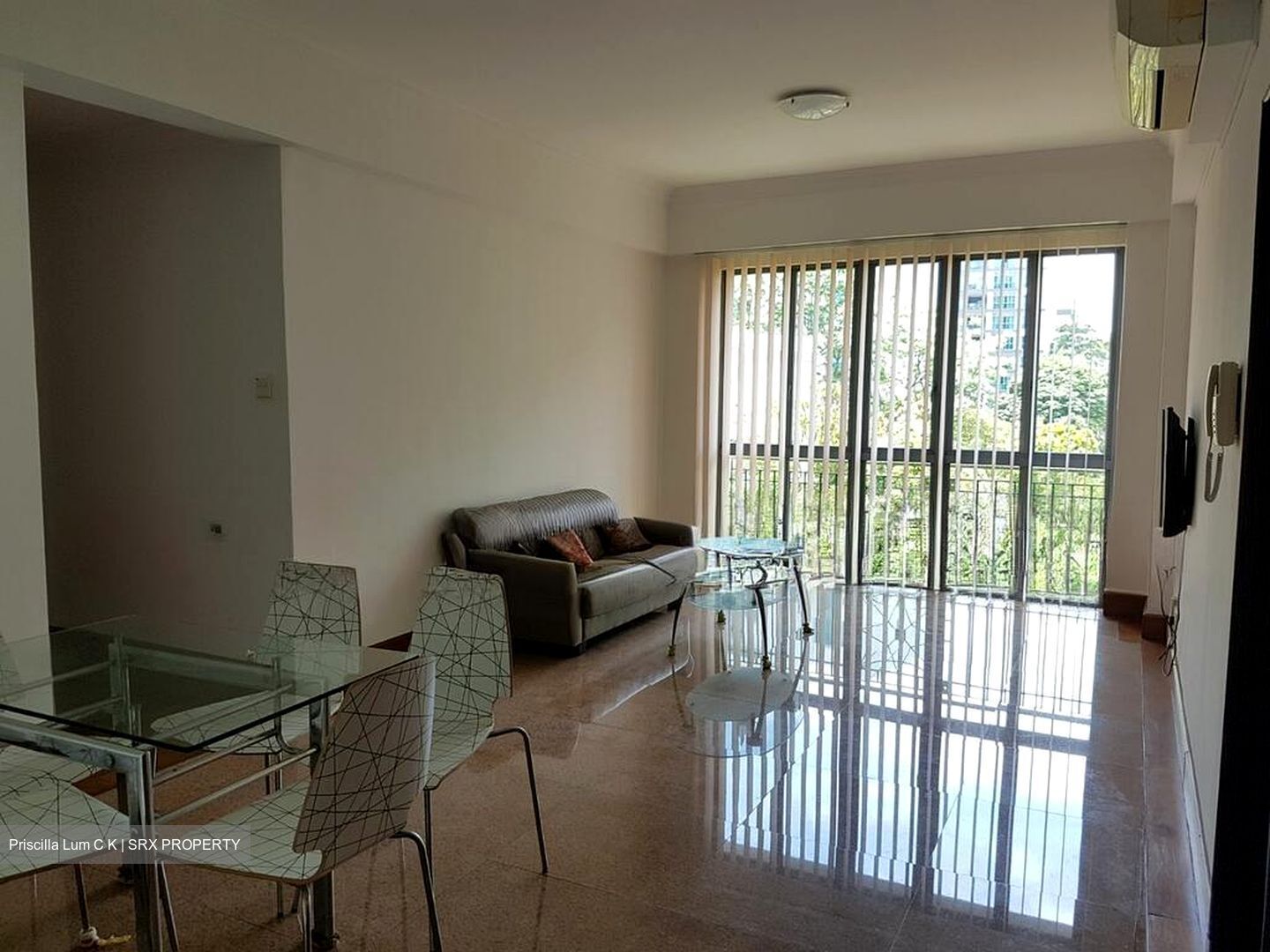 Springdale Condominium (D21), Condominium #503248021